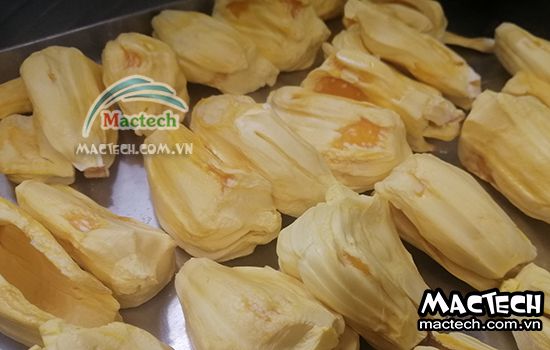 Máy sấy thăng hoa mít Mactech