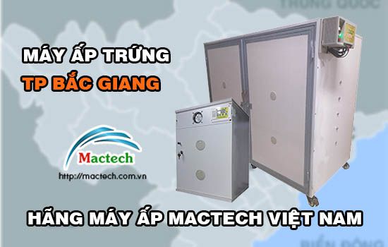 Bán máy ấp trứng tại Bắc Giang