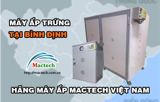 Bán máy ấp trứng tại Bình Định, tỉ lệ nở cao, con khỏe mạnh không dị tật