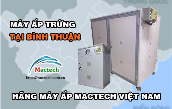 Bán máy ấp trứng tại Bình Thuận, giao hàng trong ngày, thanh toán linh hoạt