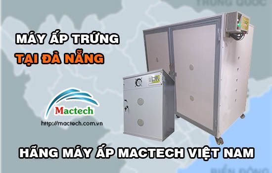 Bán máy ấp trứng tại Đà Nẵng, nhận hàng nhanh trong ngày qua xe khách