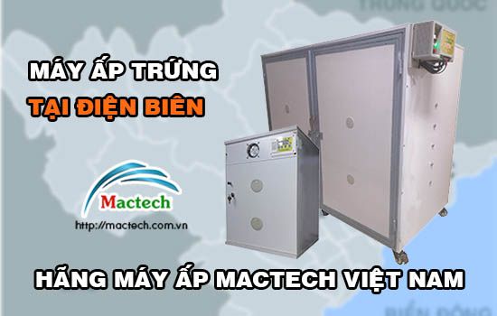 Bán máy ấp trứng tại Điện Biên