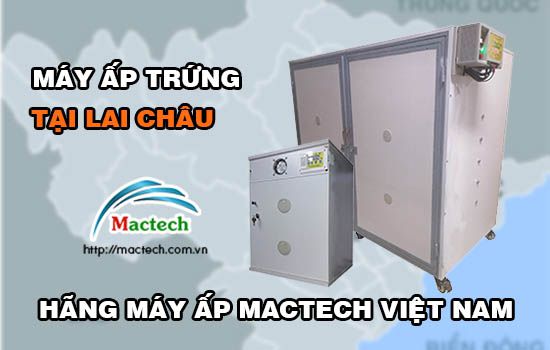 Bán máy ấp trứng tại Lai Châu, hàng cao cấp, bảo hành 12 - 18 tháng