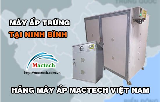 Bán máy ấp trứng tại Ninh Bình