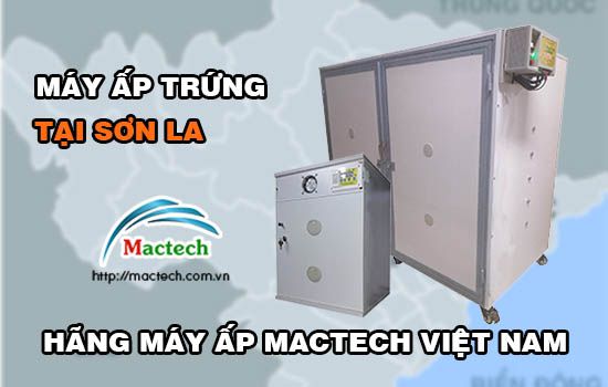 Bán máy ấp trứng tại Sơn La, tỉ lệ nở cao, tiết kiệm điện năng