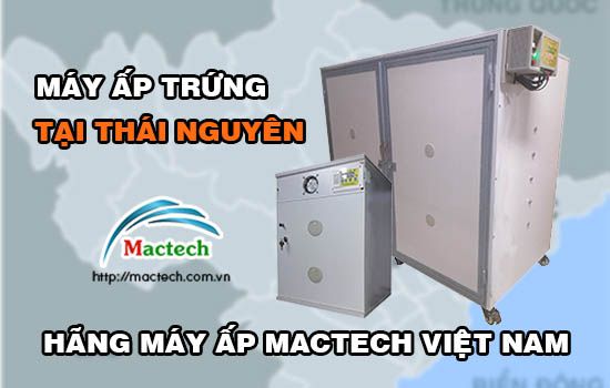 Bán máy ấp trứng tại Thái Nguyên