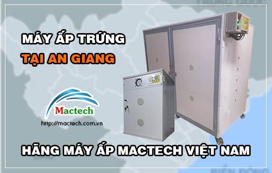 Bán máy ấp trứng tại An Giang, hàng cao cấp của hãng Mactech