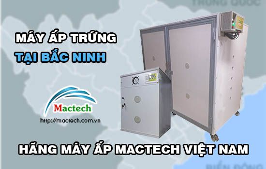 Bán máy ấp trứng tại Bắc Ninh