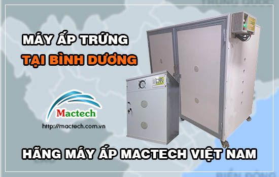 Bán máy ấp trứng tại Bình Dương, gửi hàng trong ngày, có bảo hành