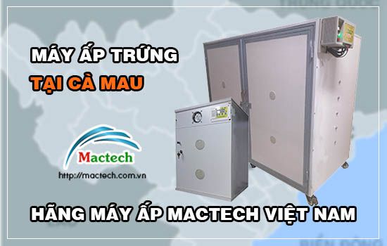 Bán máy ấp trứng tại Cà Mau, giao hàng nhanh, bảo hành 12 - 24 tháng