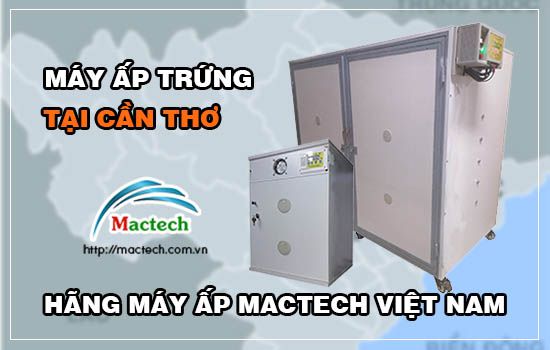 Bán máy ấp trứng tại Cần Thơ, hàng cao cấp, có bảo hành, giao hàng nhanh