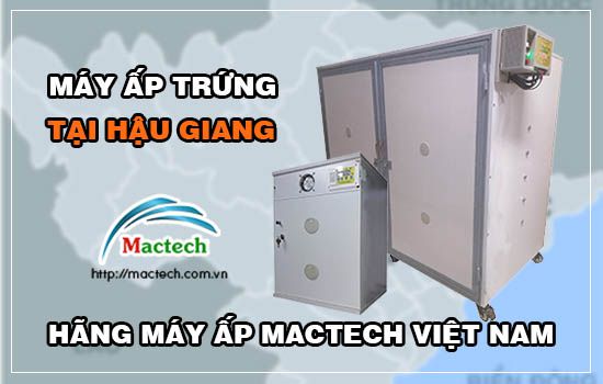 Bán máy ấp trứng tại Hậu Giang, bảo hành 12 - 24 tháng