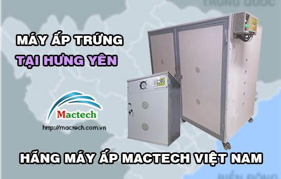 Bán máy ấp trứng tại Hưng Yên