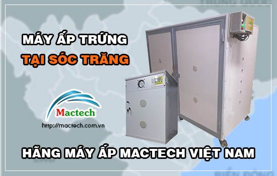 Bán máy ấp trứng tại Sóc Trăng, máy ấp chất lượng cao hãng máy Mactech