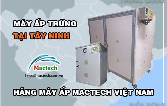 Bán máy ấp trứng tại Tây Ninh, tỉ lệ nở cao, thanh toán linh hoạt