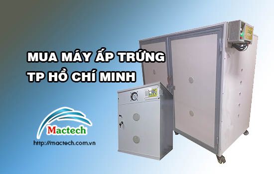 Mua máy ấp trứng TPHCM ở đâu uy tín?