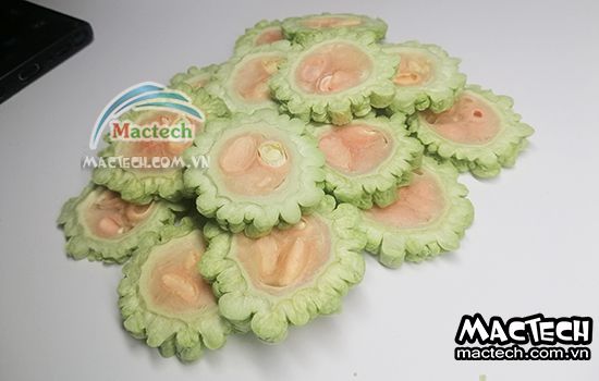Máy sấy thăng hoa mướp đắng Mactech