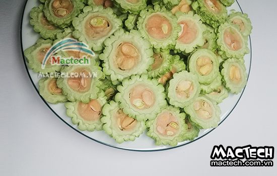 Máy sấy thăng hoa mướp đắng Mactech
