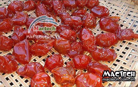 Máy sấy mứt cà chua Mactech, sấy khô đẹp, tiết kiệm điện năng