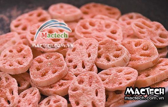 Máy sấy mứt củ sen Mactech, sấy khô cao cấp giữ hương vị của củ sen