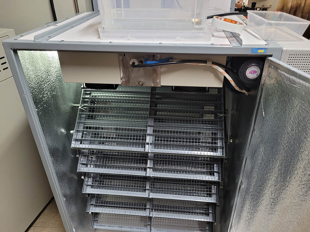 Cách vệ sinh và bảo dưỡng máy ấp trứng để kéo dài tuổi thọ