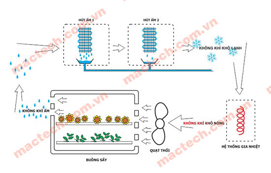 Hệ thống hút ẩm trên máy sấy lạnh Mactech