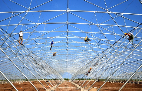 Xây dựng nhà kính để nuôi tôm