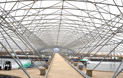 Lọc nước sạch trong nhà kính