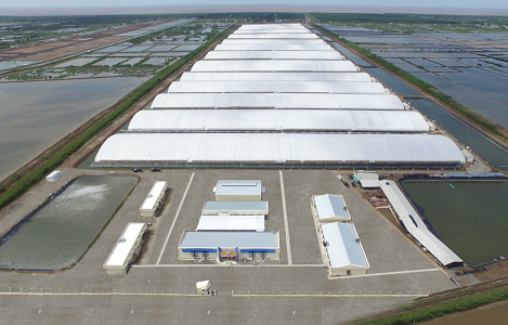 Khu trang trại nuôi tôm công nghệ cao