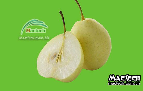 Máy sấy dẻo quả lê Mactech Việt Nam