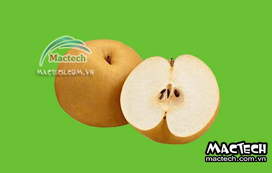 Máy sấy dẻo quả lê Mactech Việt Nam