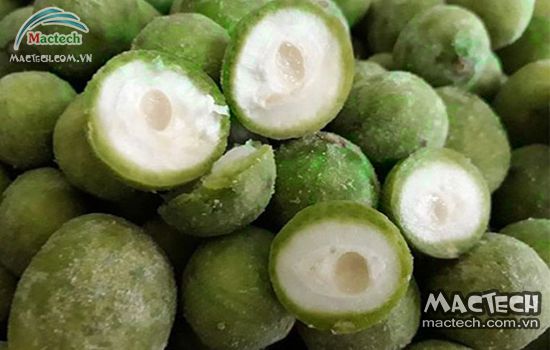 Máy sấy khô quả sấu Mactech, sấy khô bảo quản được lâu dài