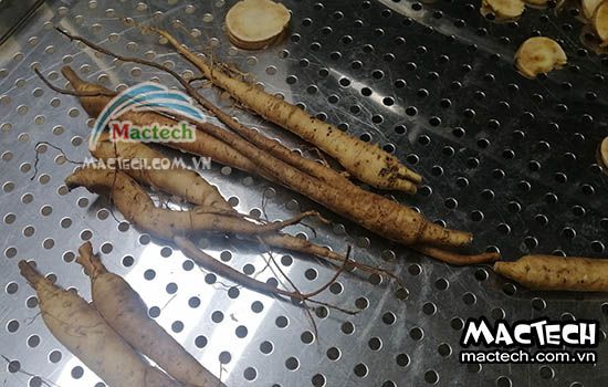 Máy sấy thăng hoa nhân sâm Mactech, sấy khô dược liệu cao cấp