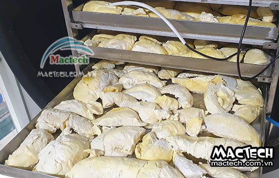 Máy sấy thăng hoa sầu riêng Mactech