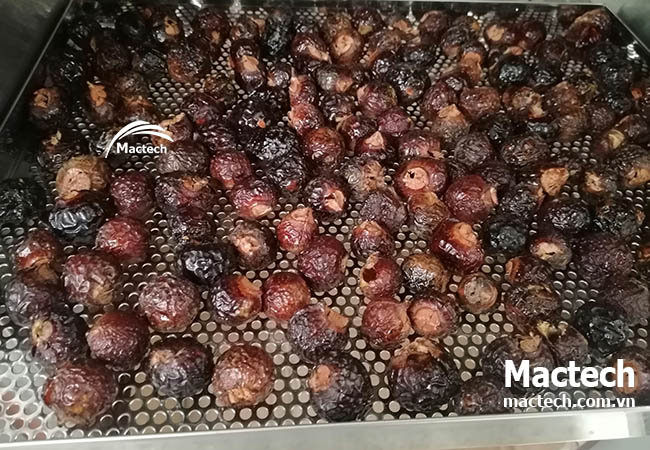 Mua máy sấy nhiệt độ cao cho xưởng sản xuất