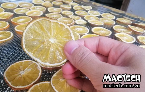 Sấy cam bằng máy sấy lạnh, nên hay không nên