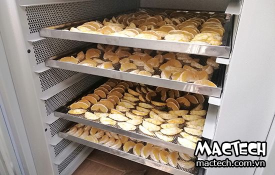 Sấy cam bằng máy sấy lạnh, nên hay không nên