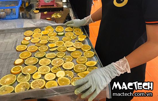 Sấy cam bằng máy sấy lạnh, nên hay không nên