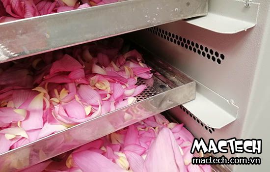 Máy sấy lạnh có tốn điện không