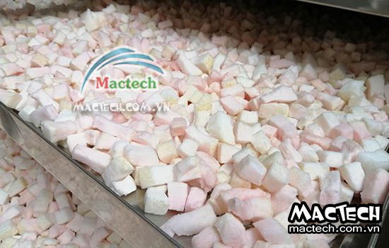 Sấy cùi bưởi nên dùng máy sấy loại nào cho phù hợp và hiệu quả