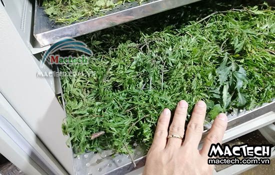 Hướng dẫn sử dụng máy sấy nông sản hiệu quả cho doanh nghiệp vừa và nhỏ