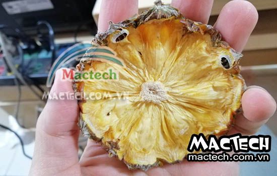 Nhiệt độ sấy dứa và thời gian sấy dứa phù hợp