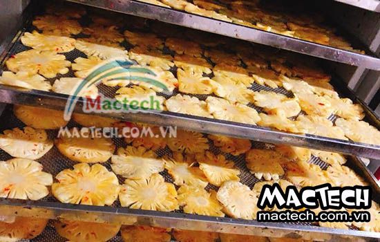 Dứa sấy thăng hoa để nghiền bột, công nghệ sấy khô mới