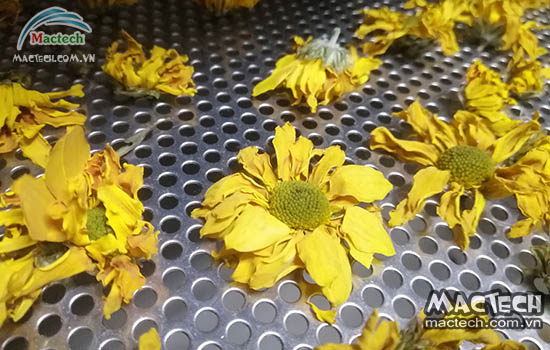 Máy sấy nông sản tiết kiệm năng lượng: Giải pháp kinh doanh bền vững