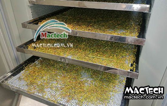 Hoa đu đủ sấy bị đen, bị thâm, nguyên nhân và cách xử lý