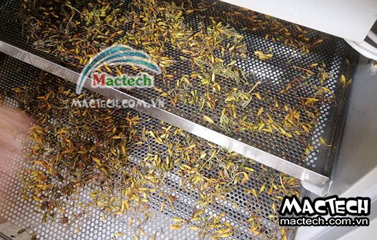 Máy sấy nhiệt hoa đủ đủ Mactech, sấy khô nhanh giữ màu đẹp