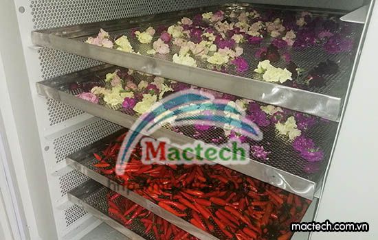 Bán máy sấy lạnh tại Hòa Bình
