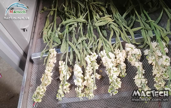 Máy sấy nông sản tiết kiệm năng lượng: Giải pháp kinh doanh bền vững