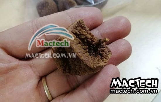 Vải sấy nguyên quả bị tóp (móp), nguyên nhân & hướng khắc phục