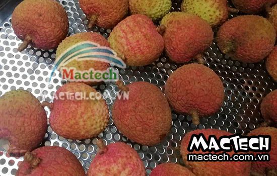 Long vải sấy bị đen, bị đắng